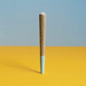 A single cannabis pre-roll standing upright on its filter on a yellow table with a soft blue background.