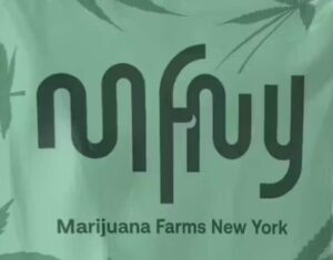 A green variant of the MFNY logo.
