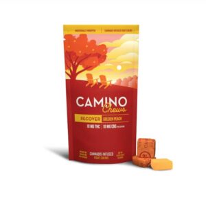 Camino Recover
