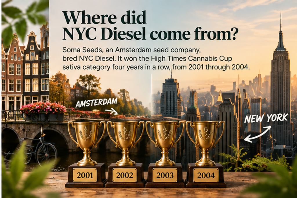 An image asking Where did NYC Diesel come from, and showing several trophies